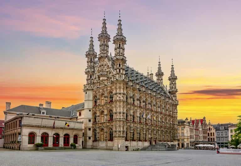 Historical Leuven: Private Tour with Local Guide - The Details That Matter
