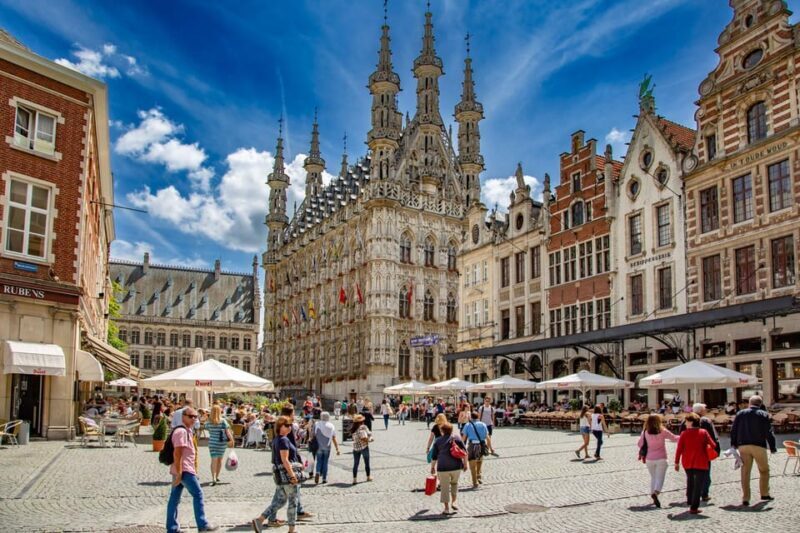 Historical Leuven: Private Tour with Local Guide - Who Will Benefit Most from This Tour?