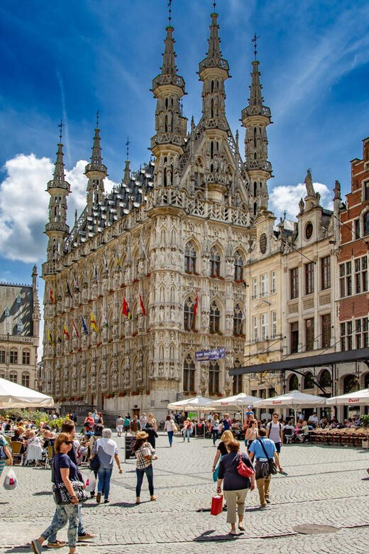 Historical Leuven: Private Tour with Local Guide - In The Sum Up