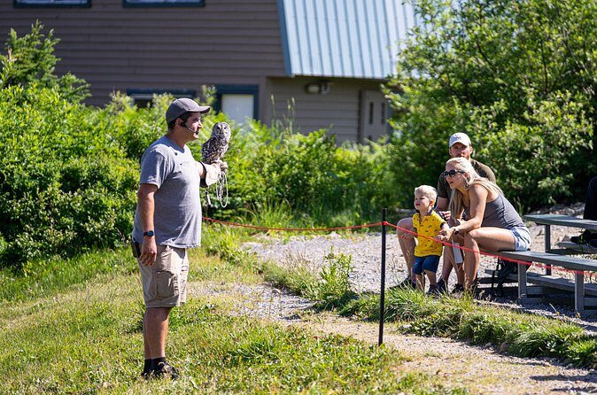 Historical Sightseeing in North Vancouver and Grouse Mountain - Final Thoughts: Who’s This Tour Best For?