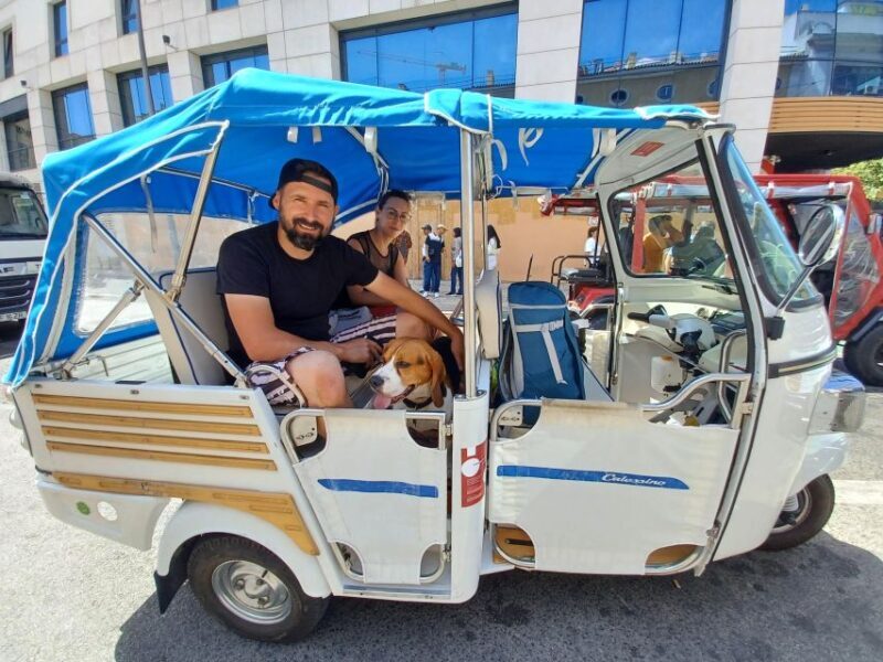 Historical Tour in Lisbon - 2 Hour - Private Tuk Tuk Tour - Who Should Consider This Tour