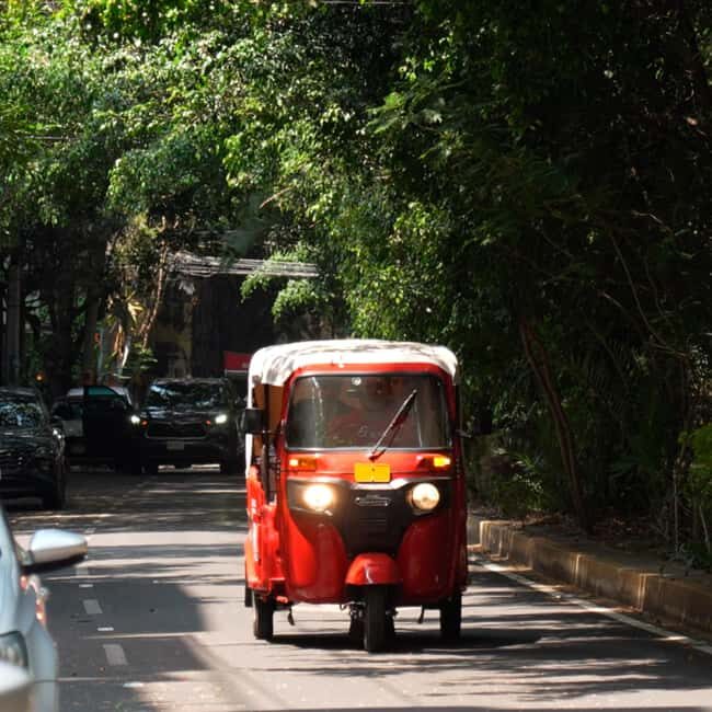Historical Tour in Tuktuk  Roma Condesa - Breakdown of the Itinerary and Highlights