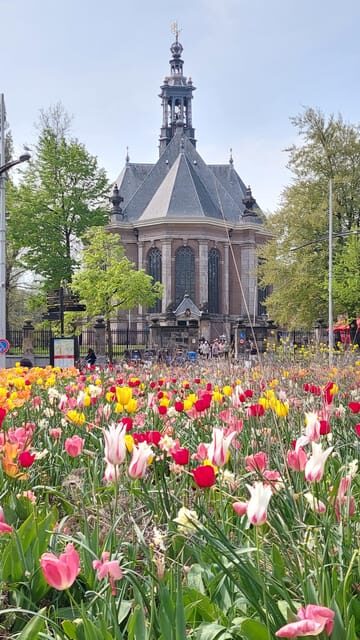Historical Tour of The Hague - Exploring The Hague’s Political and Royal Sites in Depth