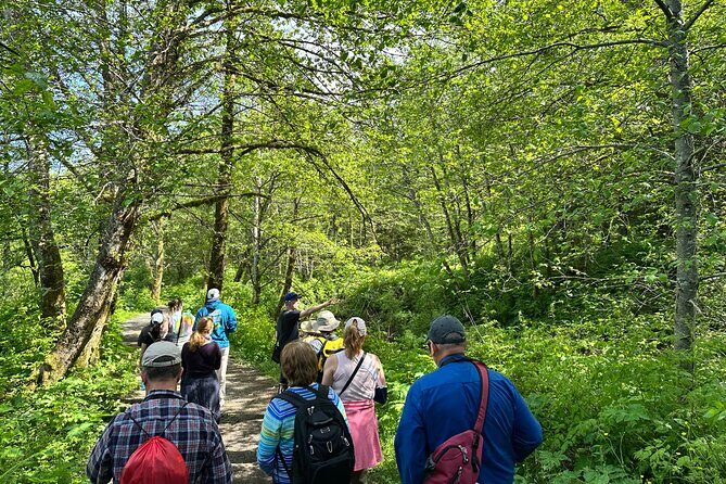 Historical Walking Tour of Abandoned Gold Rush Era City with AR - Key Points