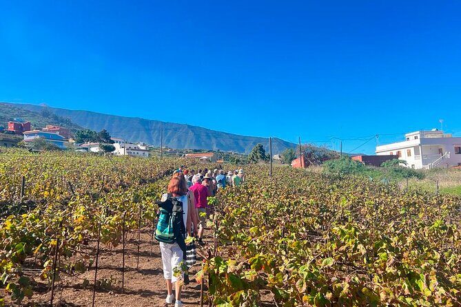 History and Tradition Tour of Local Products of La Orotava - Who Will Love This Tour?