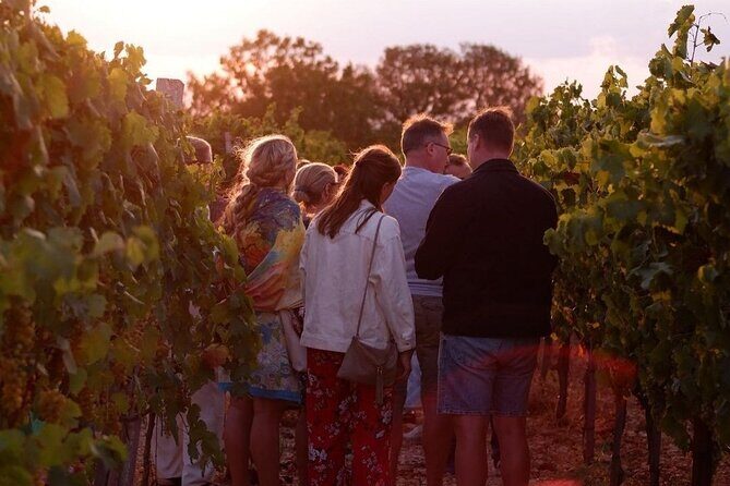 History & Local Wines: Amphitheater, Mitrium and Winery Visit - FAQ