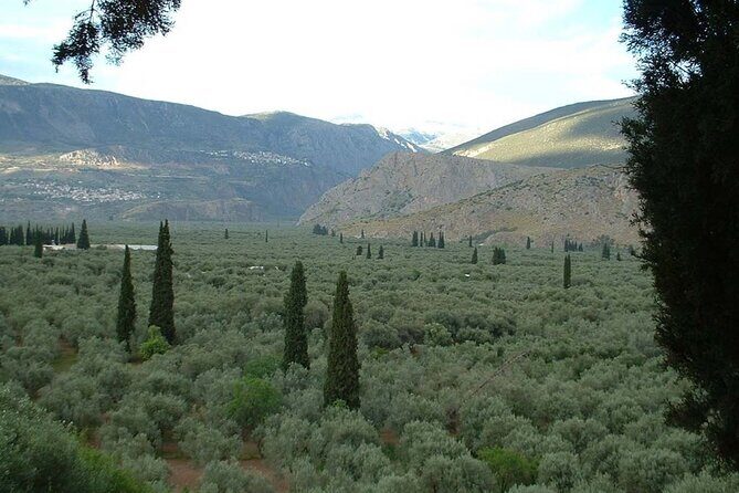 Hking in the Olive Groves,Villages,Sunset,with Swim Stop - What You Can Expect at Each Stop