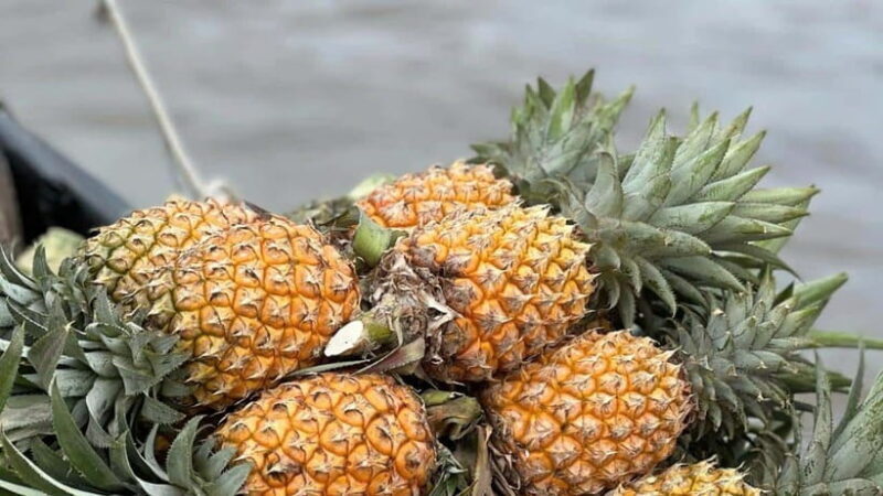 Ho Chi Minh: Authentic boat trip - Cai Rang Floating Market - Ho Chi Minh: Authentic Boat Trip - Cai Rang Floating Market