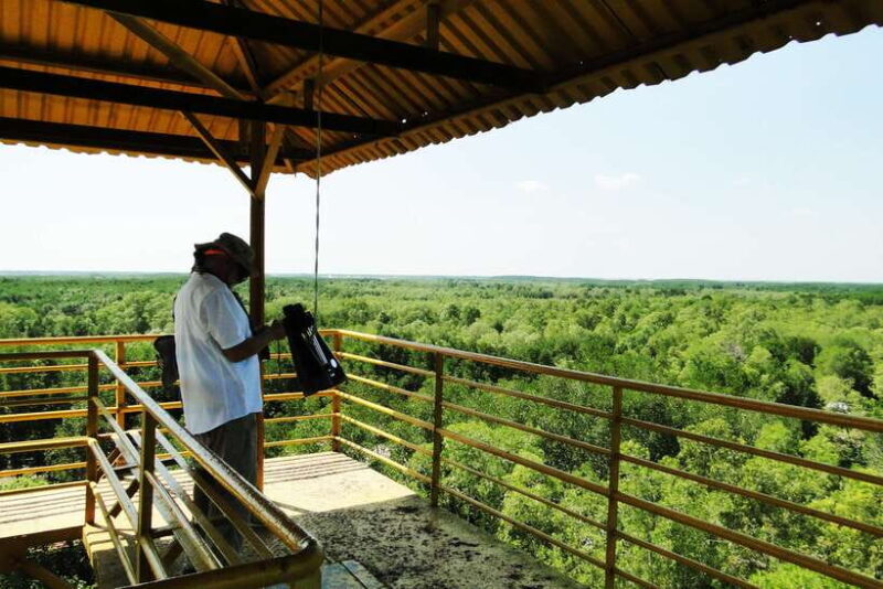 Ho Chi Minh City: Can Gio Eco Escape And Wildlife Discovery - Who Will Love This Experience?