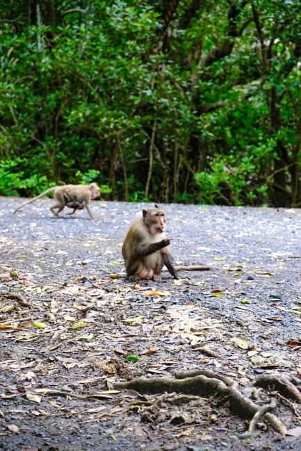 Ho Chi Minh City: Can Gio Mangrove & Wildlife Speedboat Tour - Exploring Vietnam’s Unique Mangrove Ecosystem: The Can Gio Speedboat Tour