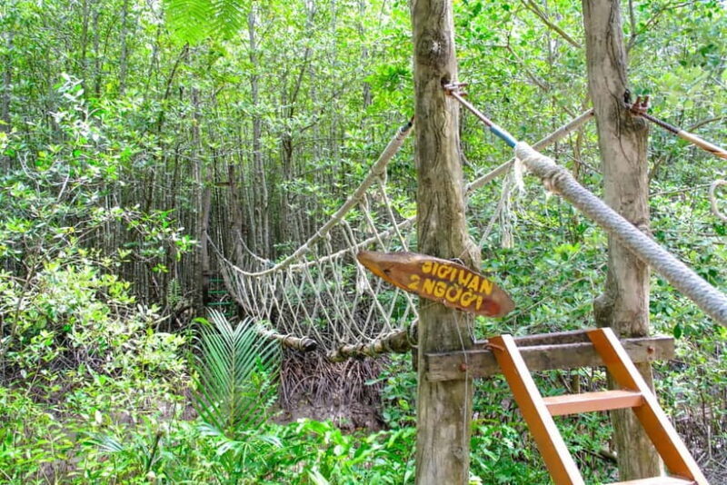 Ho Chi Minh City: Can Gio Mangrove & Wildlife Speedboat Tour - Practical Insights and Tips