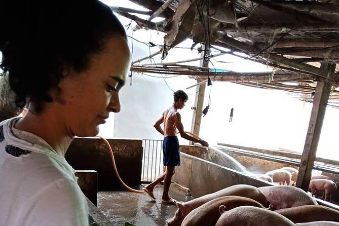 Ho Chi Minh City Full-Day Farm trip with Healthy Cooking Class - A Deep Dive into the Full-Day Farm and Cooking Experience