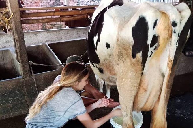 Ho Chi Minh City Full-Day Farm trip with Healthy Cooking Class - Frequently Asked Questions