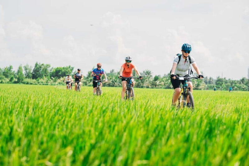Ho Chi Minh City: Mekong Delta Cycling Adventure - Final Thoughts