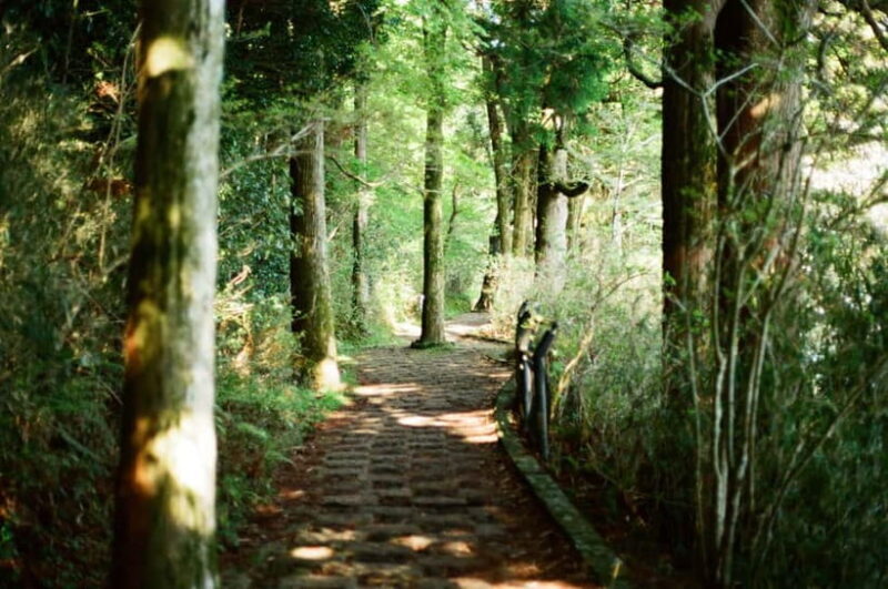 Ho Chi Minh City: Photoshoot with a French Photographer - A Close Look at What This Tour Offers