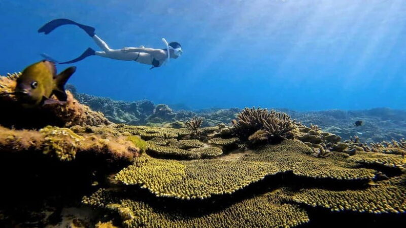 Ho Chi Minh City: Phu Quy Island 2-Day Tour with Meals - Exploring the Details of the 2-Day Tour