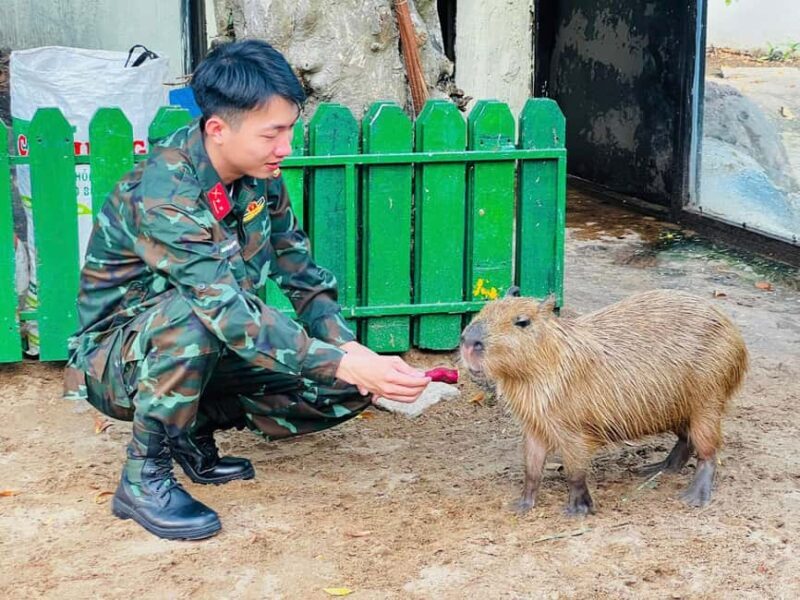 Ho Chi Minh City: Zoo & History Museum Guided Tour - Discover Saigon’s Natural Beauty and Deep History in a 3-Hour Tour