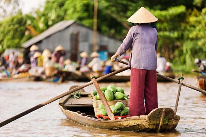 Ho Chi Minh Daily Tour: Full Day Mekong Delta (Private tour) - Key Points