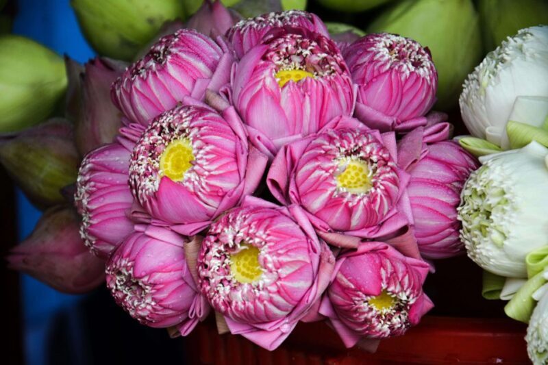 Ho Chi Minh: Historical City Scooter Tour - Practical Details and What to Expect