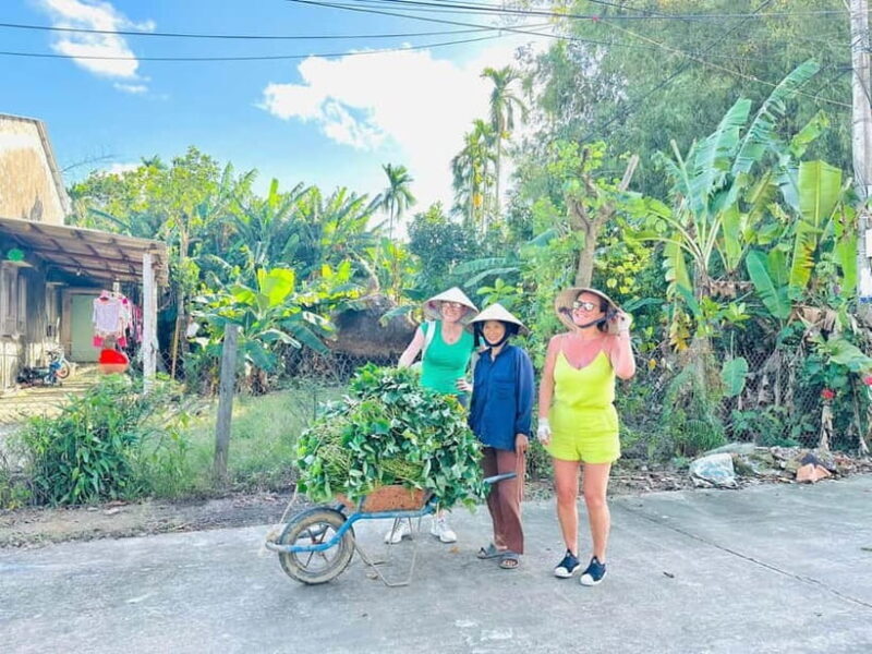 Ho Chi Minh: Mekong Delta Day Trip Small Group (Max 11 Pax) - Experience the Calm of the Mekong Delta on a Small-Group Day Trip