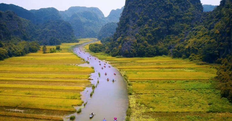 Hoa Lu and Tam Coc 1-Day Tour - A Deep Dive into the Hoa Lu and Tam Coc Experience