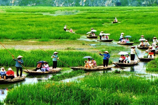 Hoa Lu Tam Coc Day Tours - A Detailed Look at the Hoa Lu Tam Coc Day Tour