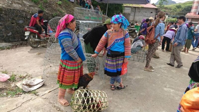 Hoàn Kim: 3-Day Sapa Trek Adventure Tour with Local Guide - What Makes This Tour Stand Out?