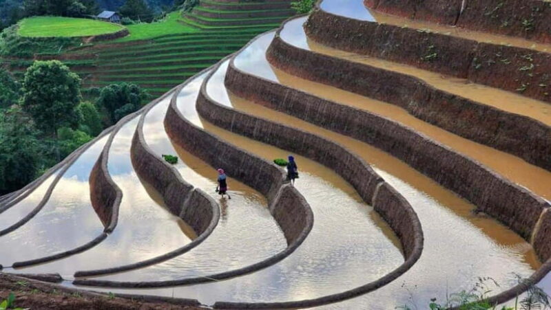 HOANG SU PHI - DONG VAN - MA PI LENG PASS 5 DAYS 6 NIGHTS - Day 3: From Hoang Su Phi to Ha Giang City