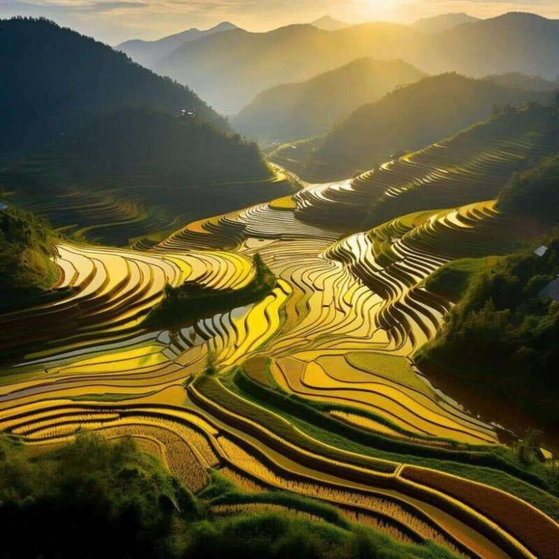 HOANG SU PHI - DONG VAN - MA PI LENG PASS 5 DAYS 6 NIGHTS - The Practicalities: Transportation, Accommodation, and Meals