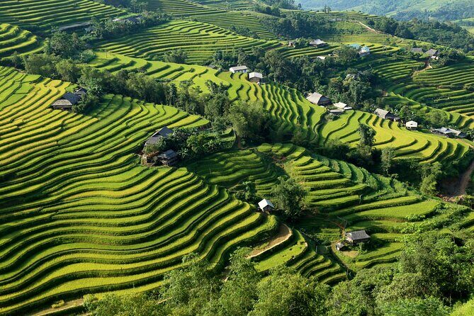 Hoang Su Phi Trekking Tour 3 days 2 nights - Hoang Su Phi Trekking Tour 3 days 2 nights: An Authentic Vietnam Adventure