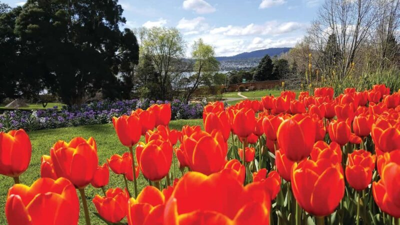 Hobart: 3-Hour City Sightseeing Tour - Final Thoughts