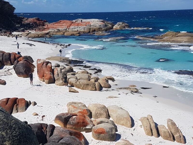 Hobart: 4 Day Wild Tasmania Tour - The Itinerary: A Journey Through Tasmania’s Best