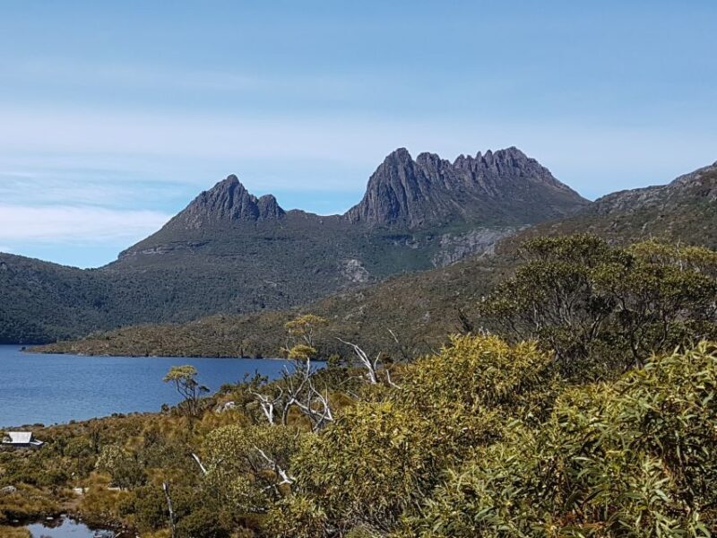 Hobart: 4 Day Wild Tasmania Tour - Final Thoughts: Is This Tour for You?