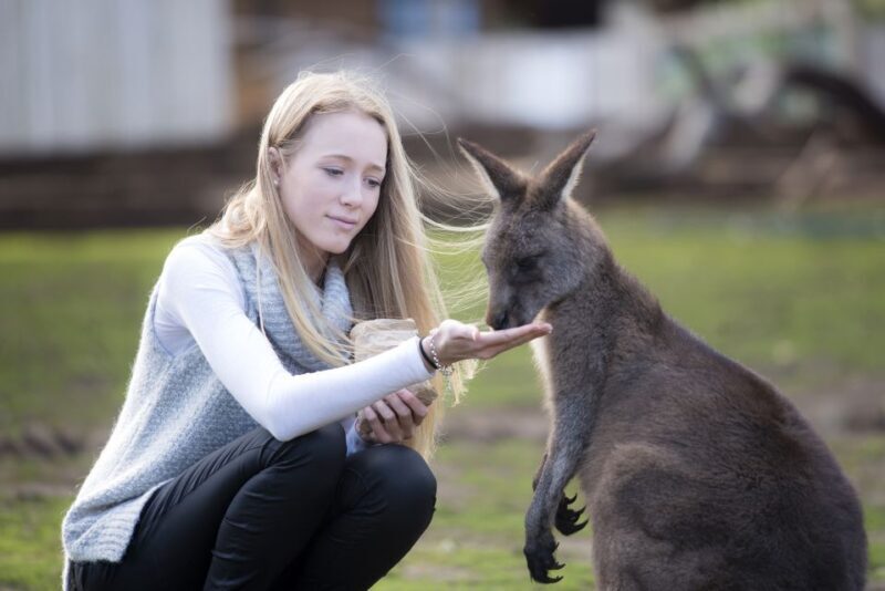 Hobart: Admission Ticket to Bonorong Wildlife Sanctuary - What the Reviews Say