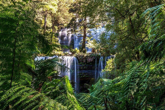 Hobart Adventurer Day Tour | Amazing Views & Native Wildlife - A Closer Look at the Hobart Adventurer Day Tour