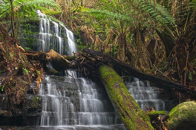 Hobart and Surrounds Photography Workshop - Exploring Hobart Through the Lens