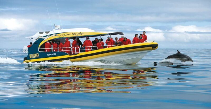 Hobart: Bruny Island Wilderness Coast Eco Cruise with Lunch - Key Points