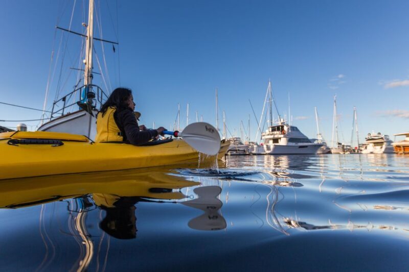 Hobart City 2.5-Hour Kayak Tour - Why Choose This Experience?