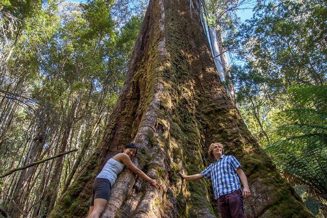 Hobart Cruise Ship Tour Mt Field National Park and Wildlife - Frequently Asked Questions