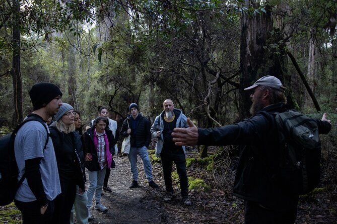Hobart Cruise Ship Tour Mt Field National Park and Wildlife - Final Thoughts