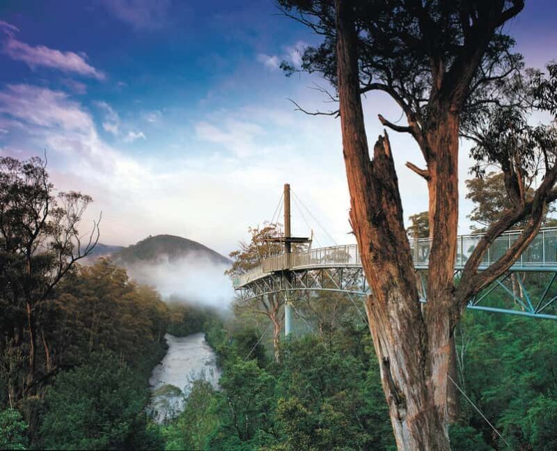 Hobart: Hastings Cave, Tahune Airwalk and Huon Tasting Trail - Hobart: Hastings Cave, Tahune Airwalk, and Huon Tasting Trail — An In-Depth Review