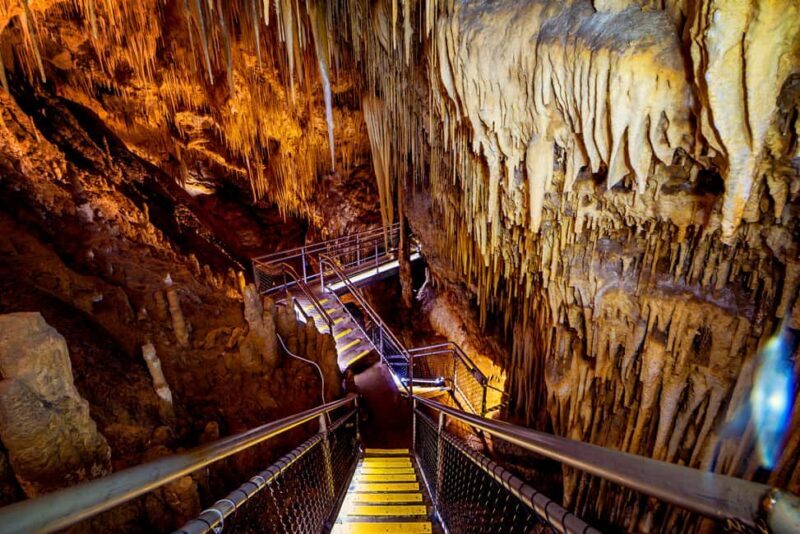 Hobart: Hastings Cave, Tahune Airwalk and Huon Tasting Trail - Practical Details and Considerations