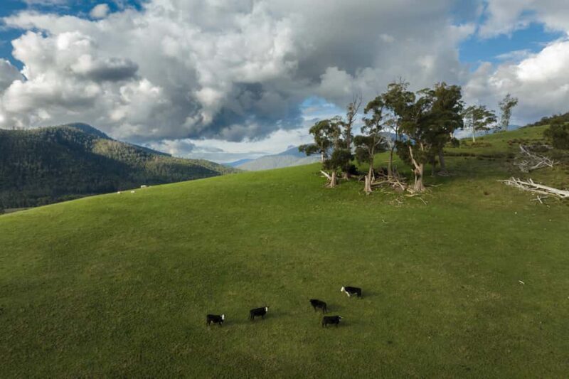 Hobart: Hastings Cave, Tahune Airwalk and Huon Tasting Trail - Final Thoughts
