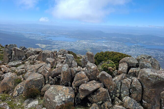 Hobart Highlights and Mount Wellington Shore Excursion - The Sum Up: Who Is This Tour Best For?