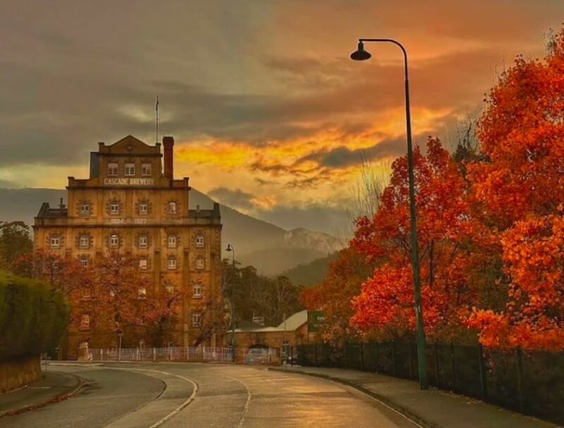 Hobart Highlights Day Tour - A Complete Breakdown of the Tour Experience