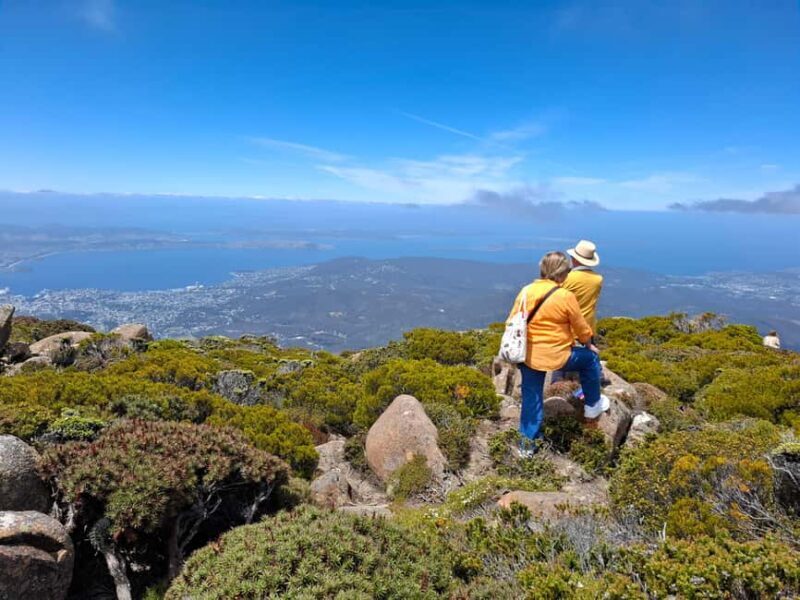 Hobart Highlights & Mount Wellington Shore Excursion - Why This Tour Offers Great Value