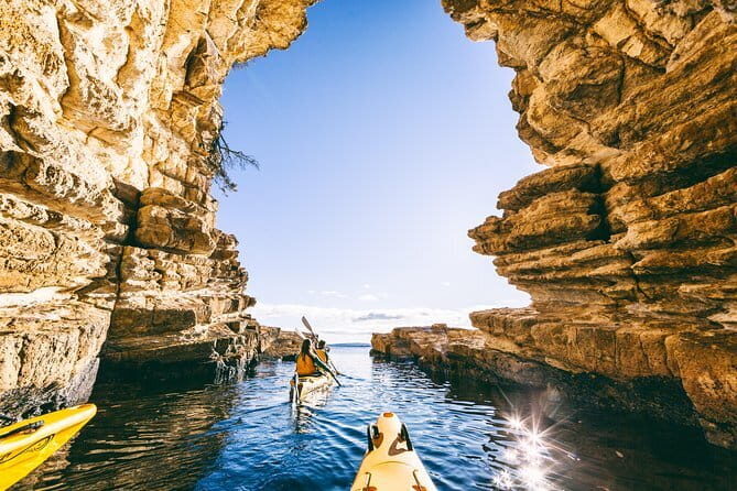 Hobart Hop-On Hop-Off Bus & kunanyi/Mt Wellington Tour - Who Should Book This Tour?