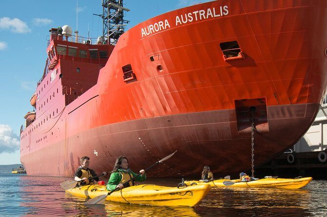 Hobart Kayak Tour - Final Thoughts