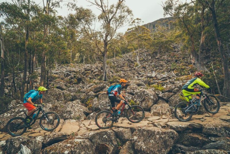 Hobart: kunanyi/Mt Wellington Explorer Bus Pass - An In-Depth Look at the Hobart: kunanyi/Mt Wellington Explorer Bus Pass