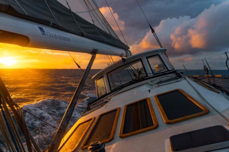Hobart: Luxury Yacht Scenic Sailing Tour with Snacks - Food and Drink: A Tasty Affair